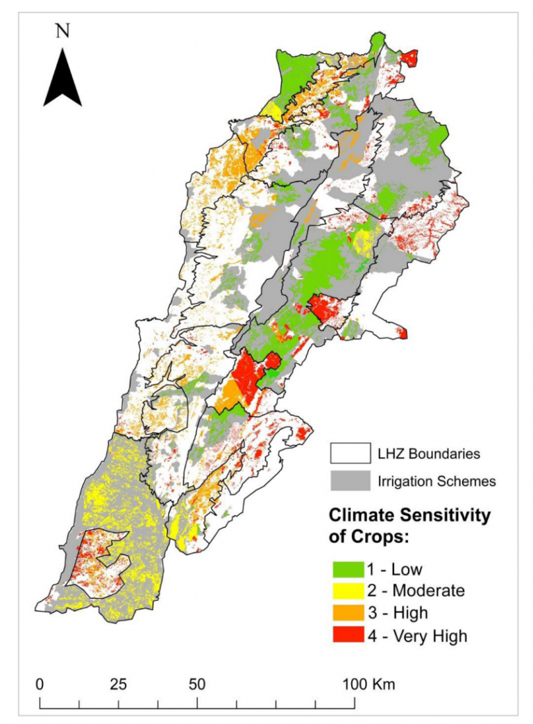 Supporting The Development Of Lebanon S National Adaptation Plan   Lebanon Crop Sensitivity 768x1042 